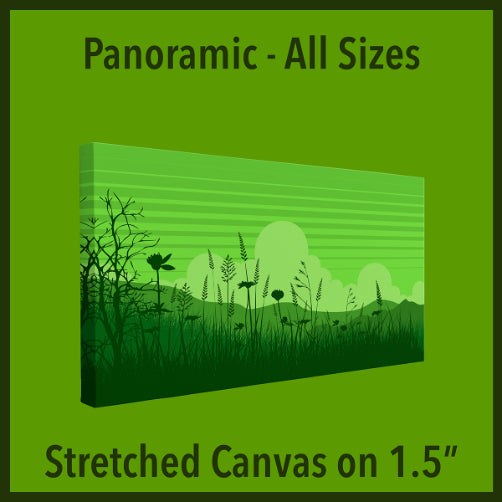 Stretched Canvas Panoramic on 1.5"